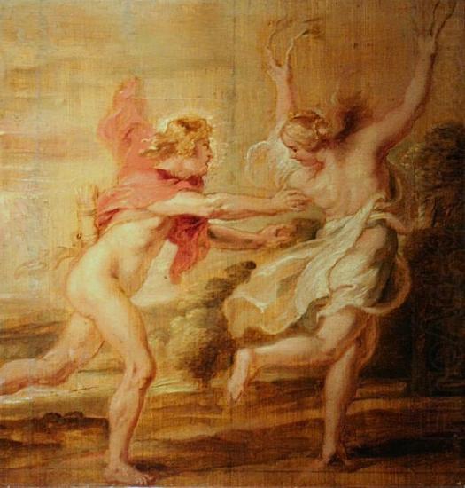 Peter Paul Rubens Apollo and Daphne china oil painting image